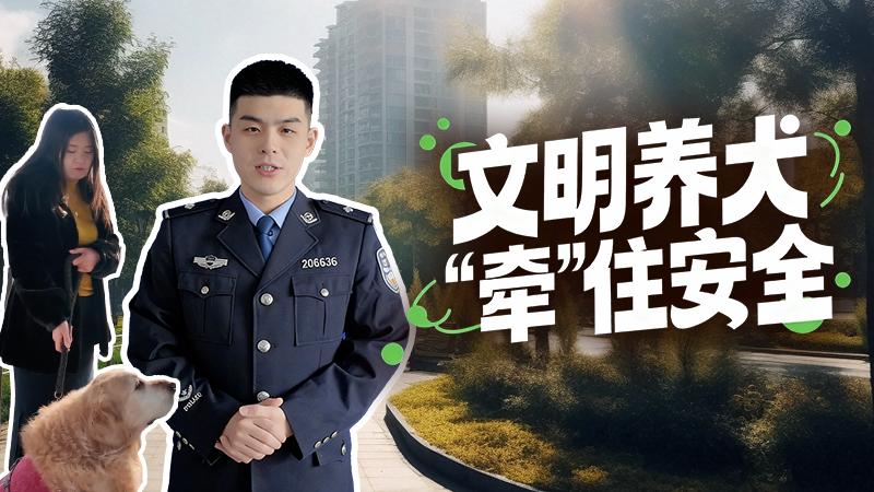 微短剧：新修订治安管理处罚法之文明养犬篇