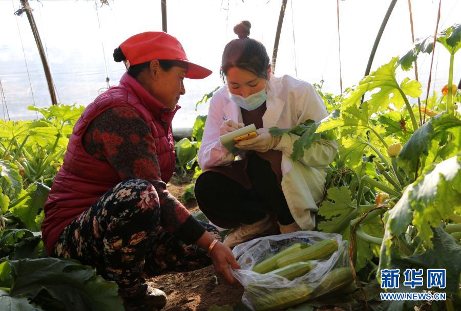 河北承德：强化蔬菜抽检 守护&ldquo;舌尖上的安全&rdquo;