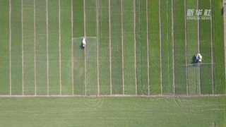 如何让假劣化肥不再坑农害农?