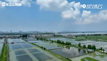 养蟹人:守护丰收的希望