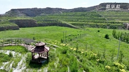 河北武安:采石场转型农业示范园