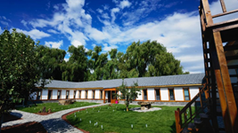 黑龙江宁安:大学生返乡创业助力县域经济发展