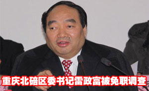 重庆北碚区委书记雷政富被免职立案调查