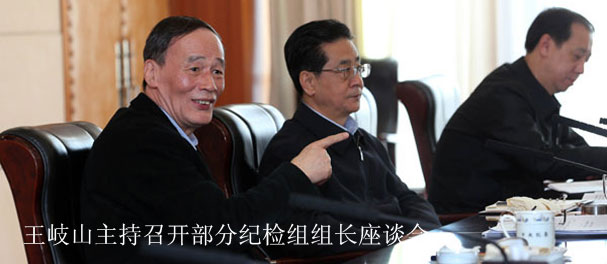王岐山主持召开部分纪检组组长座谈会