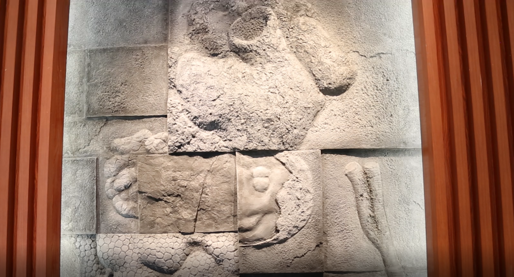 穿越“石”空打开贵州史前海洋“盲盒”，都有啥？