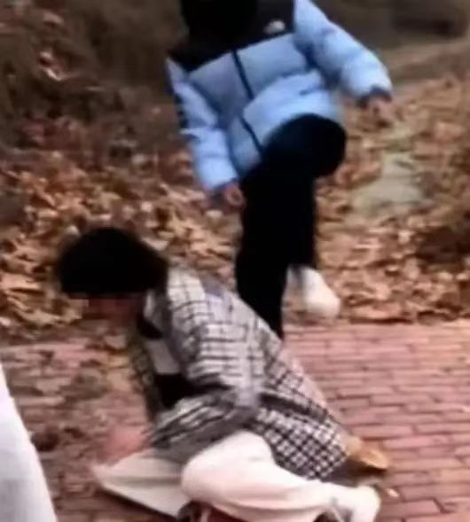 河北邢台一女学生“跪地遭扇耳光踢打” 警方已介入调查