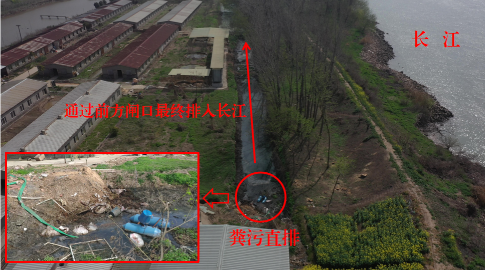 江苏镇江：不到300公里长江岸线竟抽查出19个违规项目