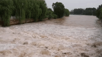 江河奔腾看中国·黄河行｜宁夏：塞上江南黄河来