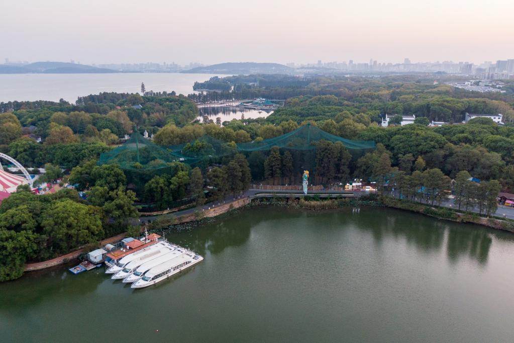 新华全媒+丨将湿地融入生活——武汉东湖化身“城市绿心” 