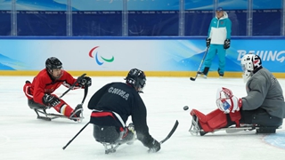 冬残奥会的六大知识点,小编不允许你不知道