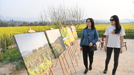 &ldquo;三园&rdquo;&ldquo;三场&rdquo;融&ldquo;三生&rdquo; 长江上游最大江心岛打造&ldquo;生态大课堂&rdquo;