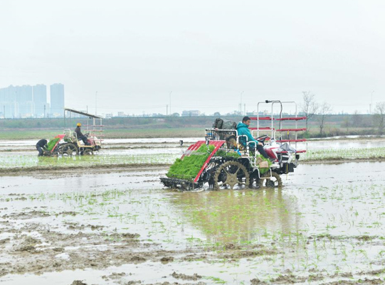 赣&ldquo;号&rdquo;吹响&middot;抢春 | 抢农时 早春耕&mdash;&mdash;江西沃野田畴添新绿