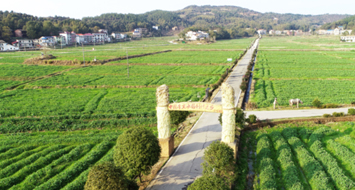 萍乡市湘东区：数字赋能促发展