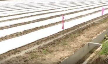 农资储备充足 机械化省人力&mdash;&mdash;疫情下的春耕观察