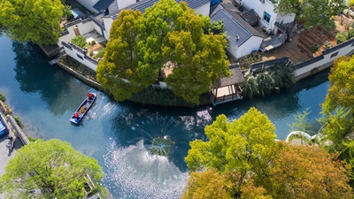 大道笃行系苍生