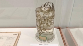 献给世界的礼物——“青蒿素研究”持续助力全球抗疟