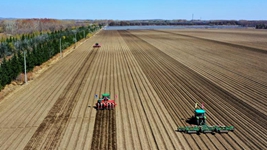 黑土地上的春耕扫描:在五月的暖风中种下希望