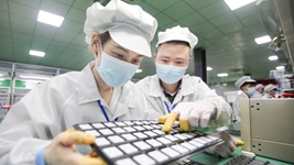 复工复产进行时丨点滴创新、集群发展&hellip;&hellip;这些企业坚定扩产