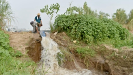 引水疏渠打井——安徽多地多措並舉抗旱保苗