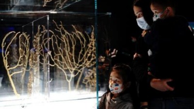 上海自然博物館舉辦“深海園林”展