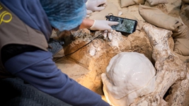 距今百万年的“郧县人”3号头骨化石顺利提取