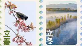 年终报道&middot;2022奔向美好丨节气里的2022