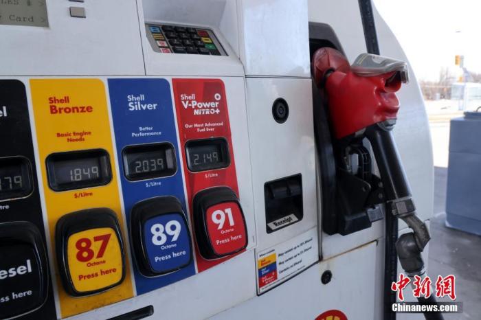 当地时间3月6日，加拿大多伦多一处加油站的燃油价格再创新高。中新社记者 余瑞冬 摄