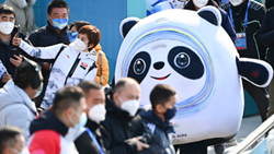 透过“冰墩墩”,感受可爱的中国