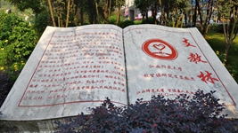 逐梦西部天地宽&mdash;&mdash;大学生志愿服务西部计划扫描