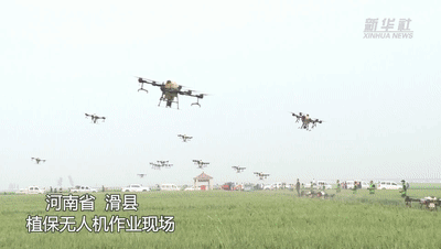 无人机飞防&ldquo;虫口夺粮&rdquo; 护航夏粮保丰收