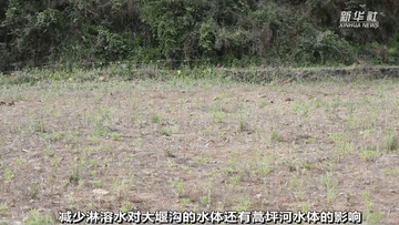 曾经被&ldquo;遗弃&rdquo;的它们 搬到新家啦！