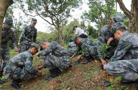 解放军驻港部队参加香港植树日活动