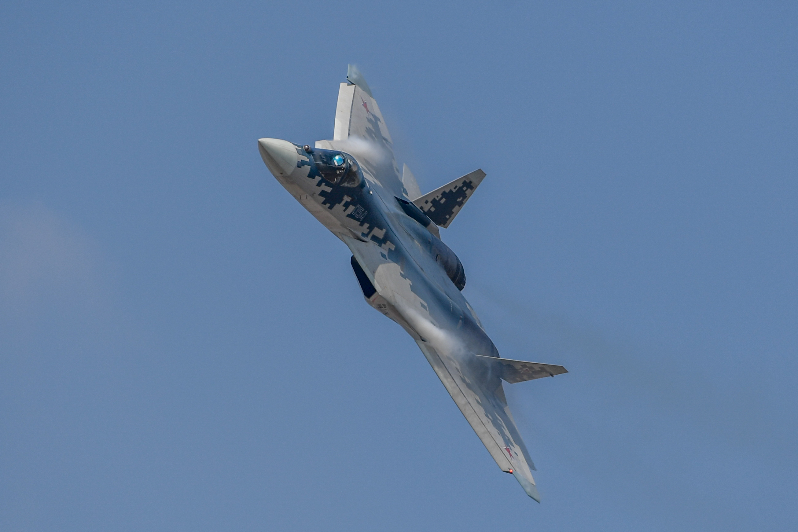 謝娜和孩子把雞蛋孵出了小雞