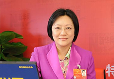 全国人大代表、重庆市大渡口区委书记盛娅农谈社会管理创新