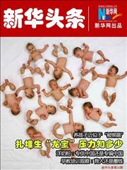 扎堆生龙宝压力知多少