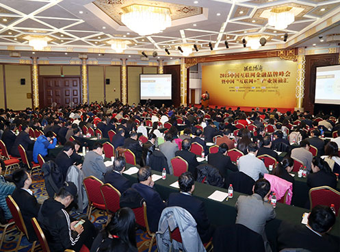 2015中国互联网金融品牌峰会暨中国“互联网+”产业领袖汇在京闭幕