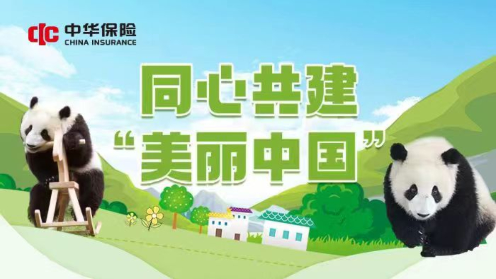 中华保险终生认养大熊猫“华宝” 助力建设“美丽中国”