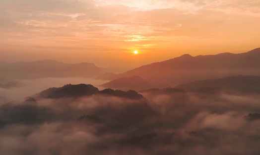 解析国寿财险千亿保费成长底色：以服务大局全新演绎高质量发展