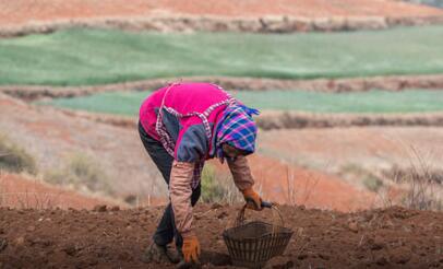 全力加强振兴乡村建设