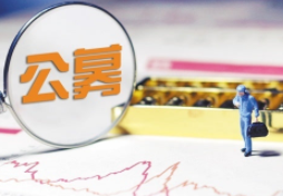 主动诉讼追偿不放弃 公募强化风控练内功