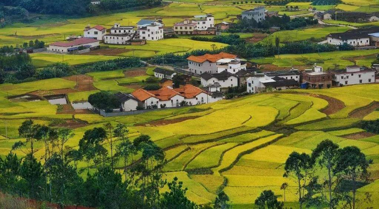 金融服务乡村振兴再加码 监管部门要求扩大险资投入