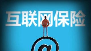 互联网人身险遇瓶颈：保费势头趋缓 产品同质化严重