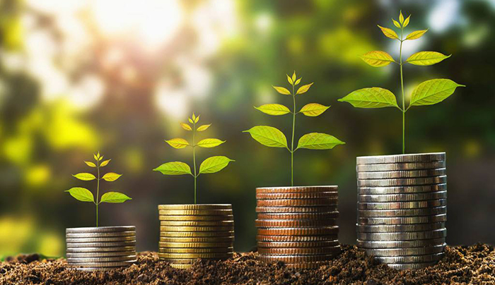 新湖财富特别顾问金李：高净值客户如何学会与&ldquo;风险&rdquo;同行？