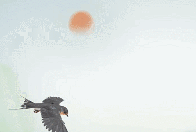 那些无家可归的江豚，现在咋样了？