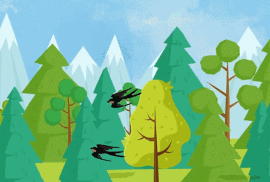 正经教学，如何种好一棵树