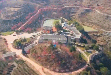 紫云山赏樱正当时