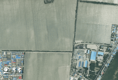 卫星发现，新疆棉花生产原来如此“硬核”