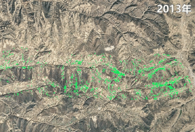 “当惊世界殊”的绿色奇迹