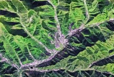 这就是烈士眼中“可爱的中国”