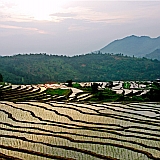 闽西初溪梯田风光
